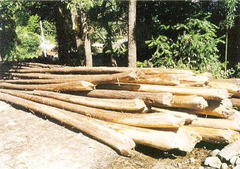 ɼľ��Ԕ��(x��)��B