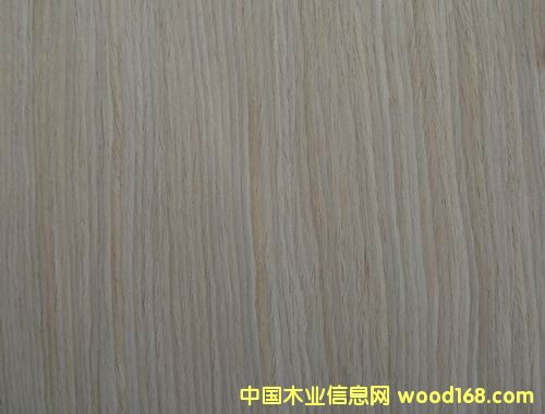 ֱ�y�����Ԕ����B