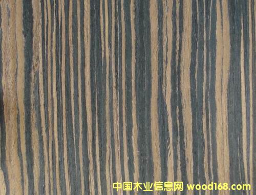 �Ƽ�ľƤ veneer ��̴