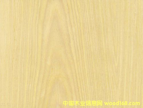 ɽ�y����Ƽ�ľƤ��Ԕ����B