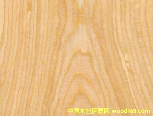 �t����2#7C�Ƽ�ľƤ