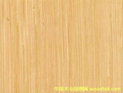 �t����2#7S