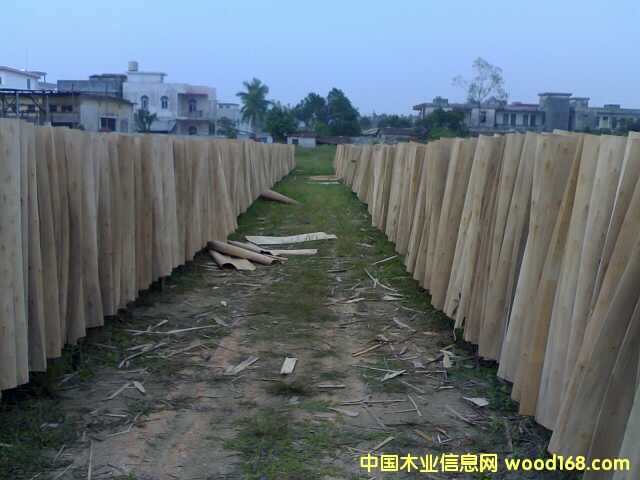 ��ľ�ΰ��Ԕ��(x��)��B