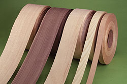 ľƤ��߅�l��Ԕ����B