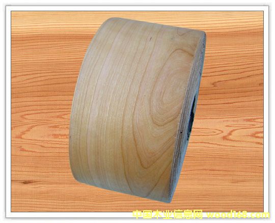 ľƤ��߅�l��Ԕ����B