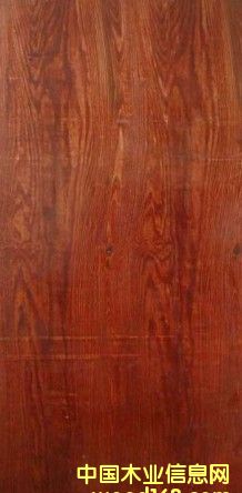 ����ģ���Ԕ����B