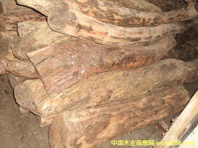 �������֦��Ԕ��(x��)��B