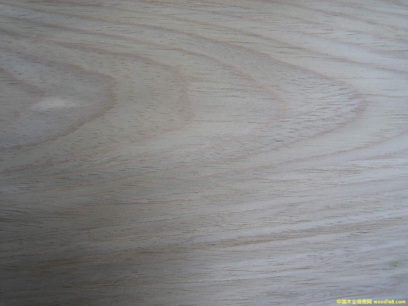 �����Ԕ��(x��)��B