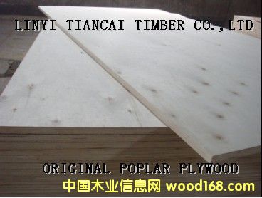 ȫ��ľ���ڰ��b�䌣���z�ϰ��Ԕ��(x��)��B