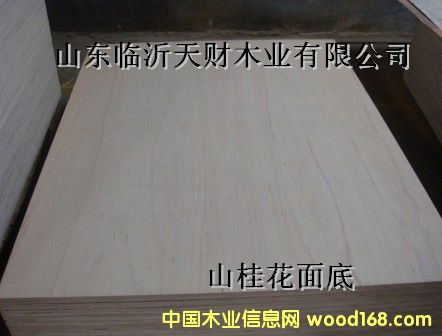 ɽ������z�ϰ��Ԕ��(x��)��B