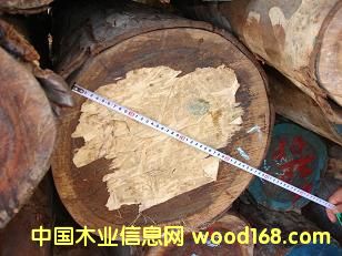 ��ľ��Ԕ����B