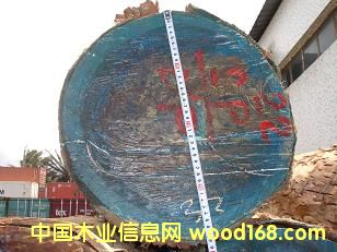 ��ľ��Ԕ����B