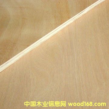 �z�ϰ��Ԕ����B