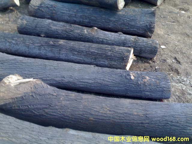 ��ľ���ĵ�Ԕ����B