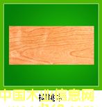 ����ľ��Ԕ����B