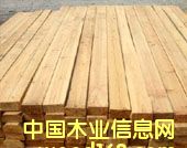 ����ľ����Ԕ��(x��)��B