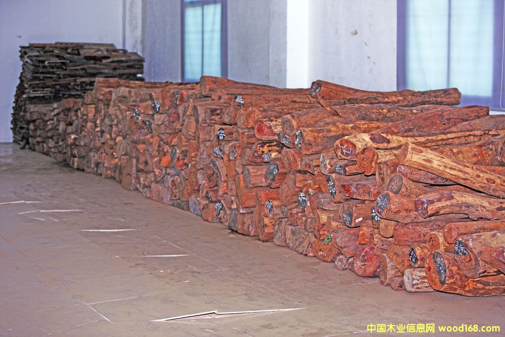 Խ���S�����Ԕ��(x��)��B