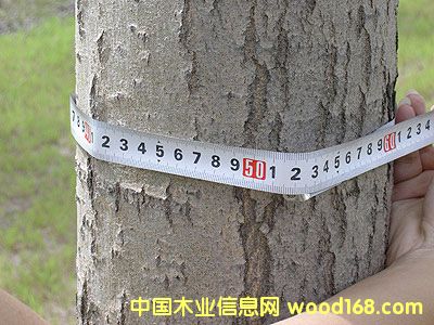 �������(sh��)��Ԕ��(x��)��B