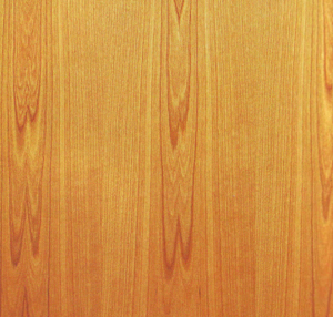 ������ľƤ��Ԕ��(x��)��B