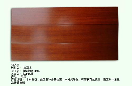 ��ľ��Ԕ��(x��)��B