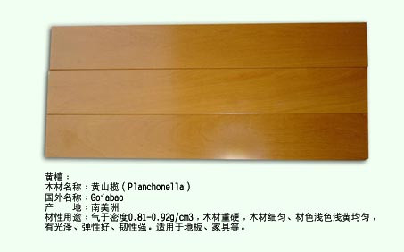 �S̴ľ��Ԕ��(x��)��B