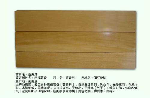 ��������Ԕ��(x��)��B