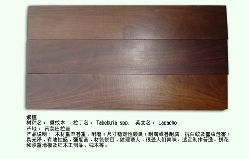 ��̴��Ԕ��(x��)��B