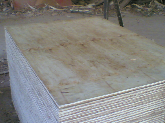 �������P�øߏ�����о�z�ϰ�.���Ͱ��Ԕ����B