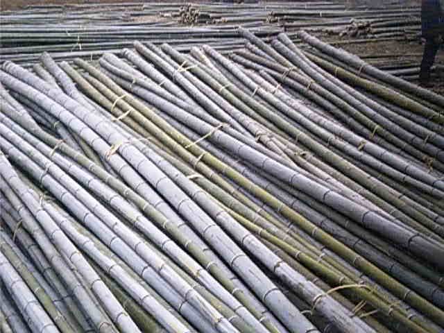 ����Ԕ����B