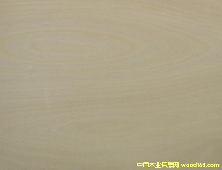 ���ľ�z�ϰ��Ԕ����B