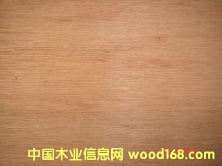 �U�P�ص�Ԕ����B