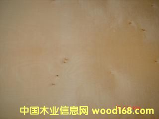 �ט��Ԕ����B