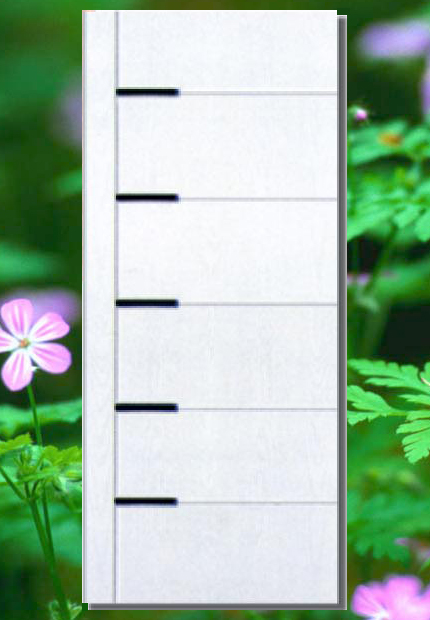 ����T��Ԕ��(x��)��B