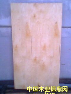 ��ľ�ΰ��Ԕ����B