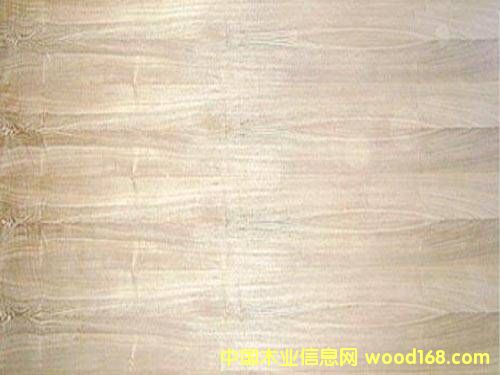 �������������Ԕ����B