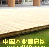 ����ľ������