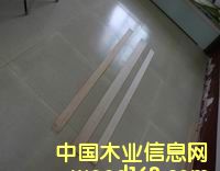 ���Ӱ�ֱ�l��Ԕ����B