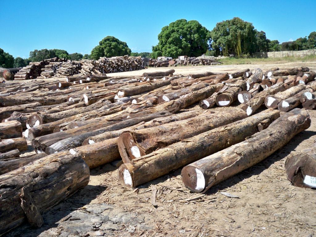 y�u���Ԕ��(x��)��B