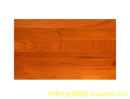 ������ľ��Ԕ��(x��)��B