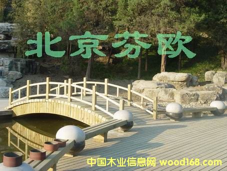 �����ɷ���ľ��Ԕ��(x��)��B