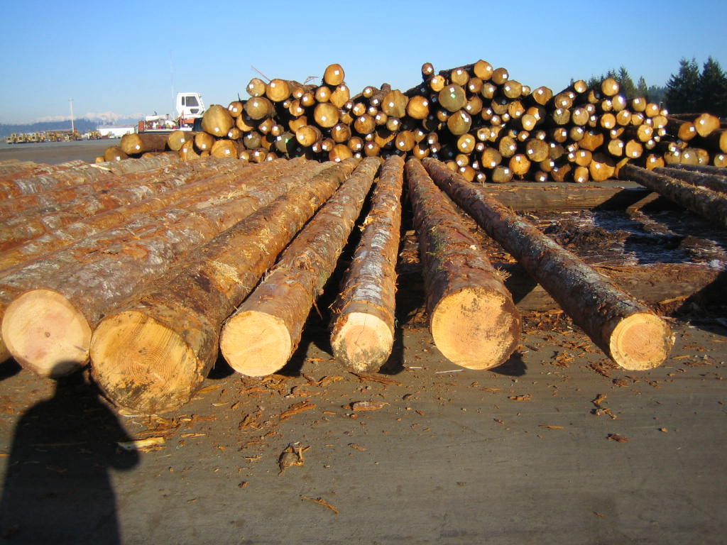 ���������ɵ�Ԕ��(x��)��B