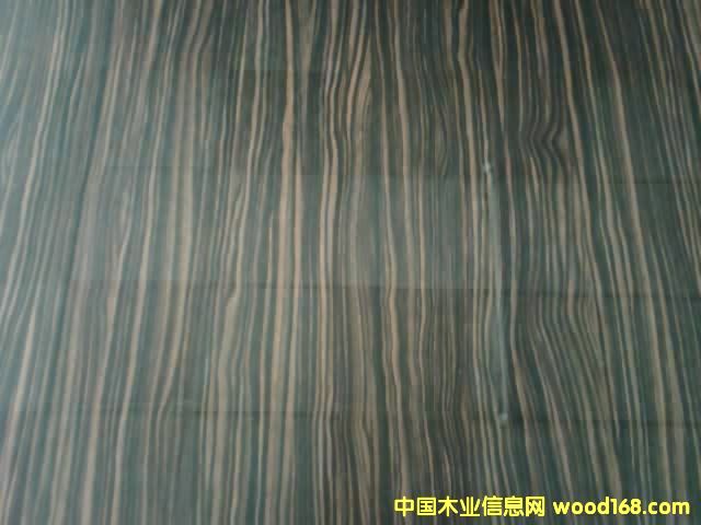 ����������Ԕ��(x��)��B