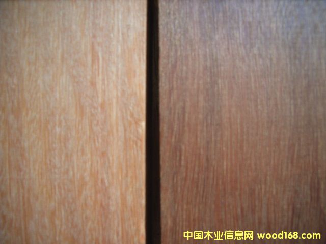 �Ĵ������tľ��JARRAH��