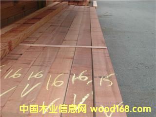 ��ɼ�����t��(c��)����������� ��western red ceda