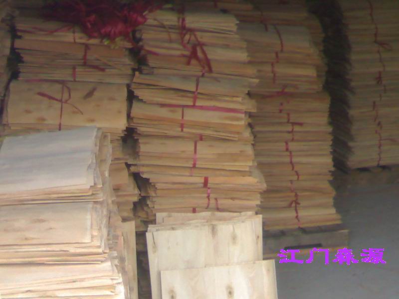 ��˽��ľ�ΰ��Ԕ��(x��)��B