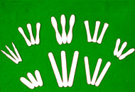 ѩ�l����Ԕ��(x��)��B