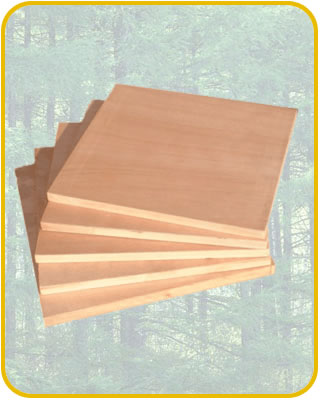 ��(x��)ľ�����Ԕ��(x��)��B