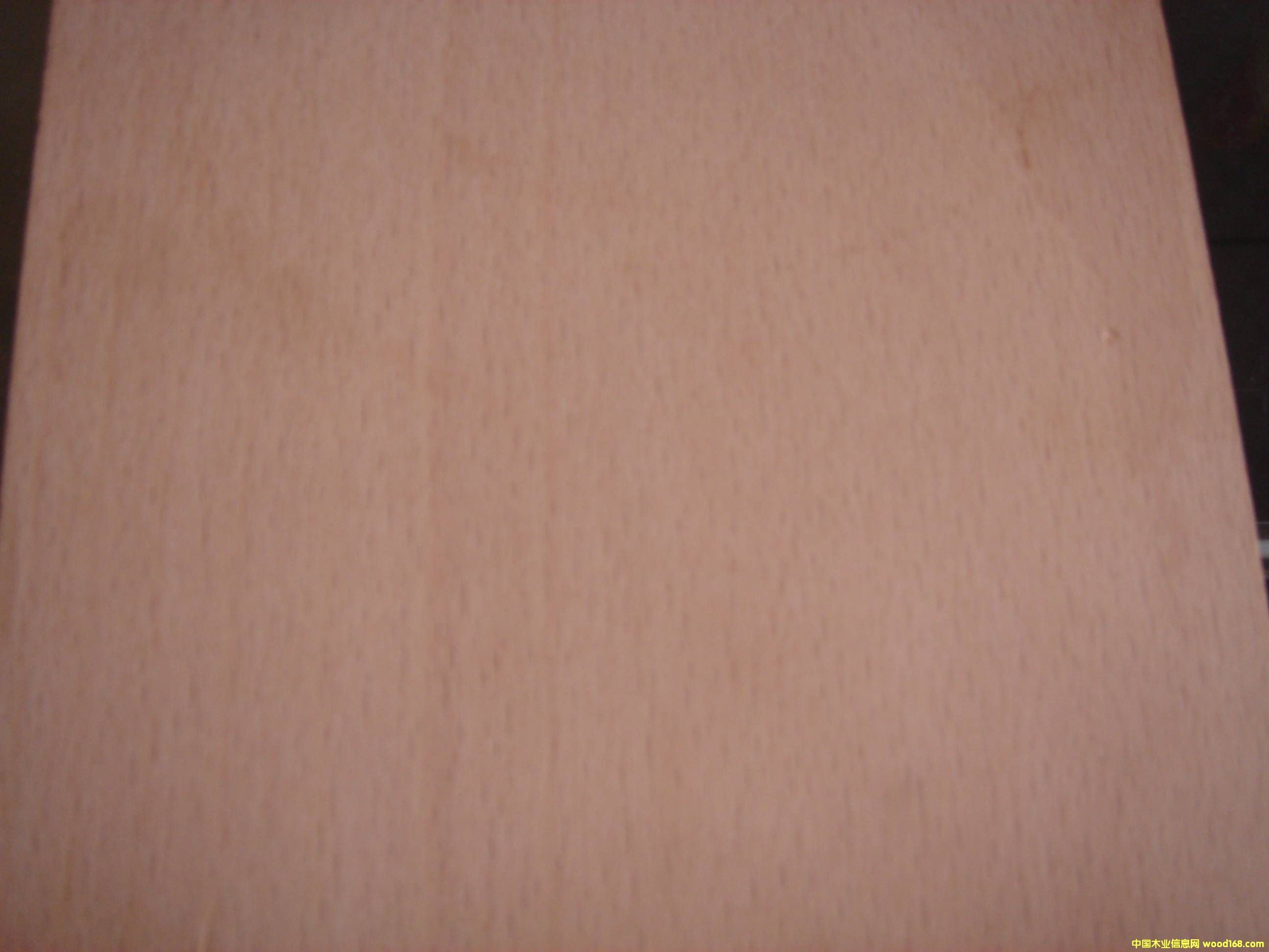 ��ľ��Ԕ��(x��)��B