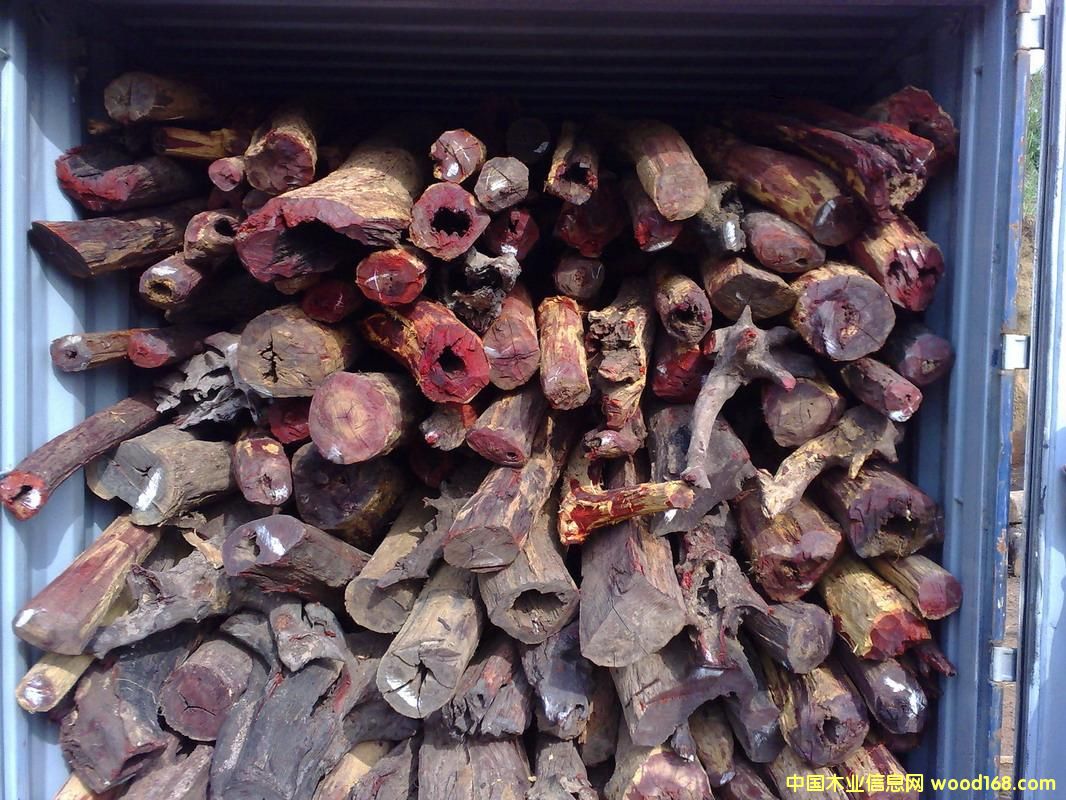 �Ჴ����̴��Ԕ��(x��)��B