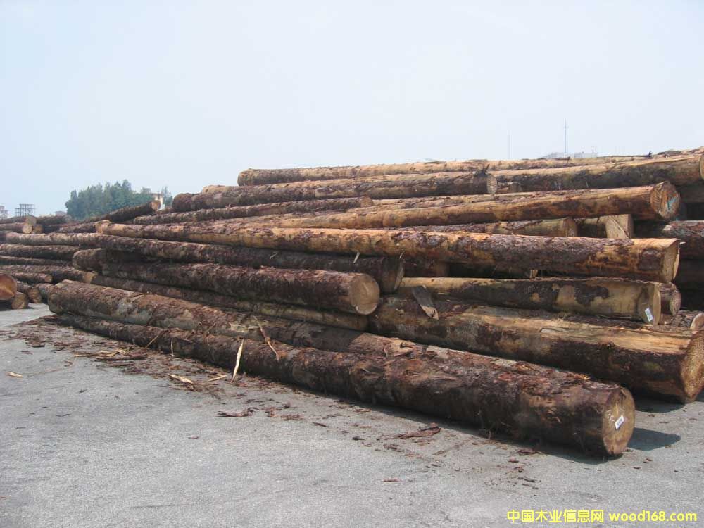 ��ɼ��Ԕ��(x��)��B